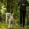 Ruffwear front range leash Twilight Gray - Image 4