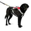 Gamla Ruffwear Omnijore Dog Harness Dragsele Storlek S - Image 3