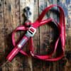 Ruffwear Slackline Red Rock