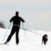 Baggen Softbelt Reflex - Image 3