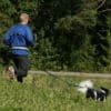 Baggen Softbelt Reflex - Image 5