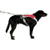 Gamla Ruffwear Omnijore Dog Harness Dragsele Storlek S - Image 2