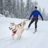 Ruffwear Omnijore Dog Harness Dragsele STORLEK L/XL - Image 2