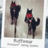 Gamla Ruffwear Omnijore Dog Harness Dragsele Storlek S - Image 6