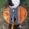 Ruffwear Approach Pack Klövjeväska Pacific Blue   hi and dry - Image 6