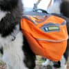 Ruffwear Approach Pack Klövjeväska Pacific Blue   hi and dry - Image 7