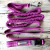Ruffwear Roamer Leash Purple Dusk M