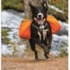 Ruffwear Approach Pack Klövjeväska Pacific Blue   hi and dry - Image 4