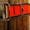 Cycle dogs Orange MAX Reflective - Image 3