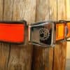 Cycle dogs Orange MAX Reflective - Image 2