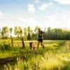 Ruffwear Trail Runner System NY - Image 12