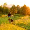 Ruffwear Trail Runner System NY - Image 13