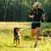 Ruffwear Trail Runner System NY - Image 14