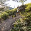 Ruffwear Trail Runner™ Belt Lichen Green - Image 5