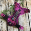 Wilderdog Sele Berry - Image 3