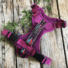 Wilderdog Sele Berry - Image 6
