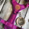 Wilderdog Sele Berry - Image 5