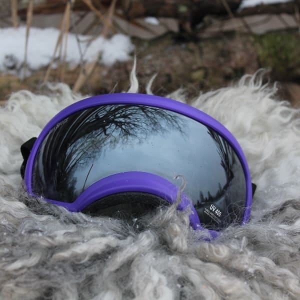 Rex Specs Purple / Silver Mirror XS