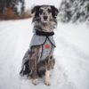 Wilderdog Fleece Jacket Gray - Image 3