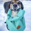 Wilderdog Doggie Bag Fodersäck Teal - Image 4