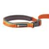 Ruffwear Flat Out Leash Fall Mountains NY Design - Image 3