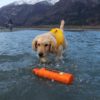 Ruffwear Lunker Toy - Image 3