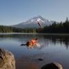 Ruffwear Lunker Toy - Image 6