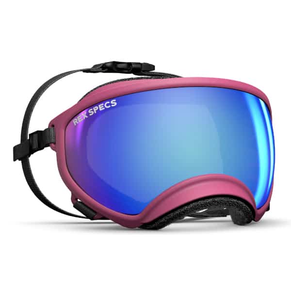 Rex Specs Pink/Blue XS; XL