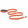 Ruffwear Flat Out Leash Autumn Horizon NY Design