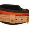 Niggeloh Blood Tracking Collar