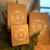 Vildhunden Julpaket Morotstugg - Image 4
