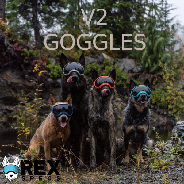 Rex Specs V2 Goggles