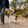 Ruffwear Front Range Harness Purple Sage NY - Image 5