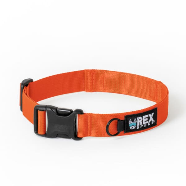 Rex Specs Trailhead Collar - Bandit Orange