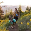 Ruffwear Home Trail ™ Hip Pack - Heliotrope Purple - Image 6