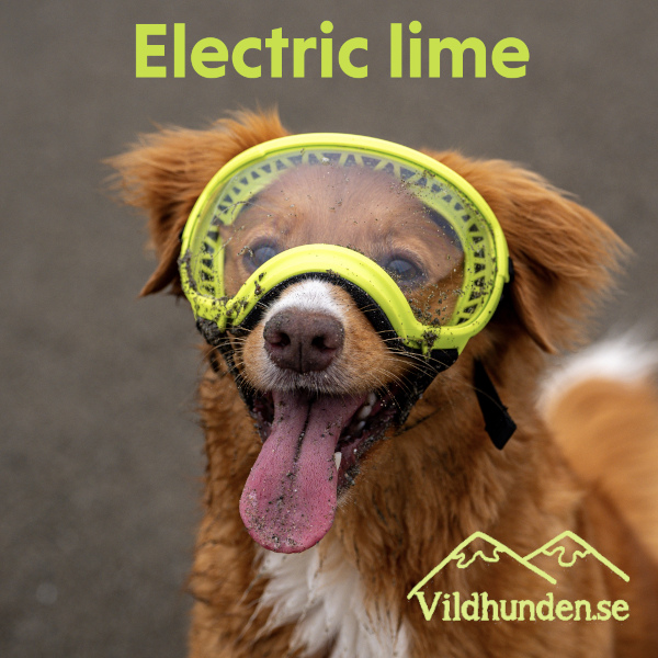 Rex Specs Goggles - Image 19