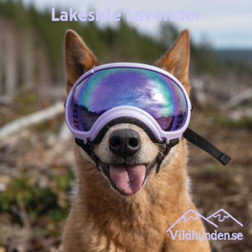 Rex Specs Goggles - Image 17